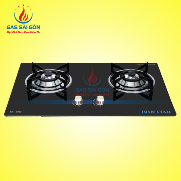 Bếp Gas Âm NG-6750